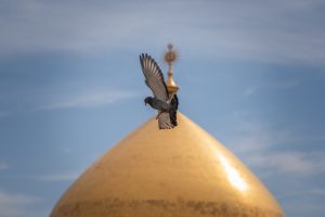 گنبد حرم مطهر امیرالمؤمنین علیه السلام