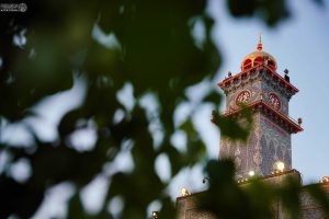 برج ساعت حرم از پشت برگهای گیاهان