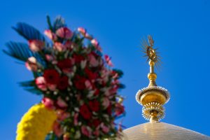 تاج گل و نمای گنبد حرم مطهر امیرالمؤمنین علی (علیه‌السلام)