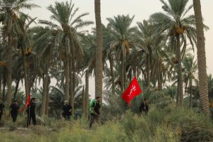 زائران با پرچم سرخ یا حسین در حال عبور از نخلستان در مسیر پیاده‌روی