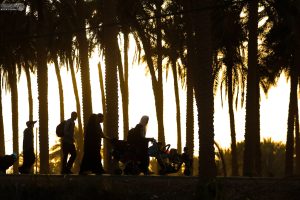 خانواده زائر اربعین در میان نخل‌ها