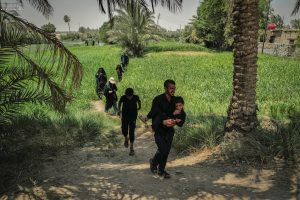 عبور راهپیمایان اربعین از باغات و نخلستان