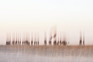 تصویری هنری و محوشده از زائران پیاده‌روی اربعین با پرچم‌های برافراشته