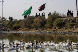 عبور زائران از کنار آبگیر با پرنده