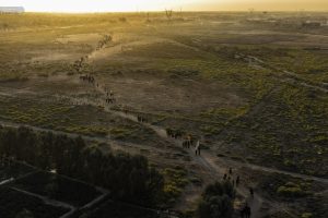 چشم‌انداز مسیر پیاده‌روی اربعین از دشت و راه خاکی