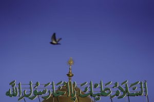 سلام ای برادر رسول خدا