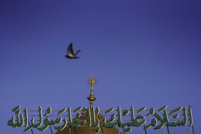 سلام ای برادر رسول خدا