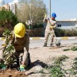 آستان مقدس علوی با هدف افزایش فضای سبز طرح درختکاری را آغاز کرد