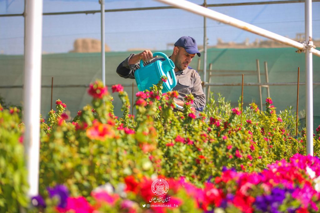 گل‌آرایی آستان مقدس علوی به مناسبت عید فرخنده غدیر