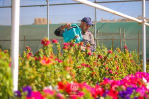 گل‌آرایی آستان مقدس علوی به مناسبت عید فرخنده غدیر