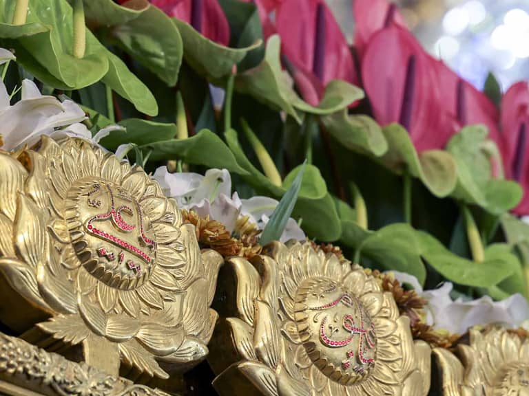 عرض ارادات شاعران