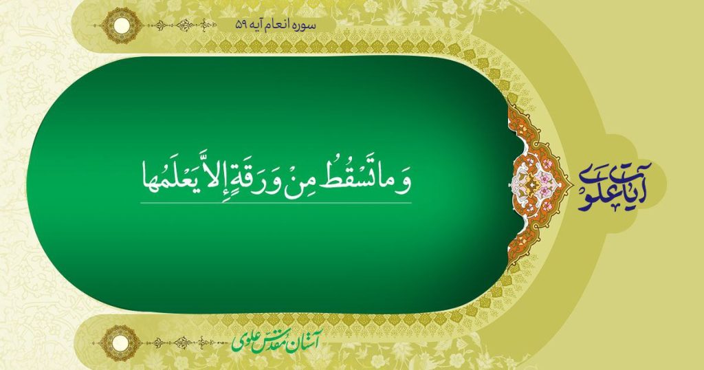 آیات علوی، علم کتاب نزد اوست