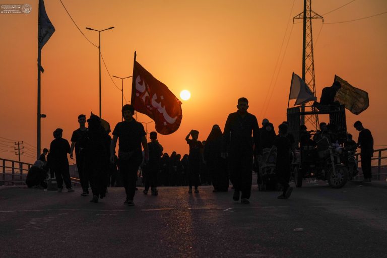 شور حسینی در مسیر نجف به کربلا