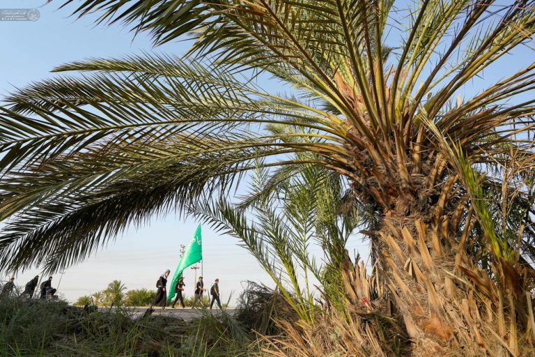 زائران اربعین حسینی در مسیر کربلا