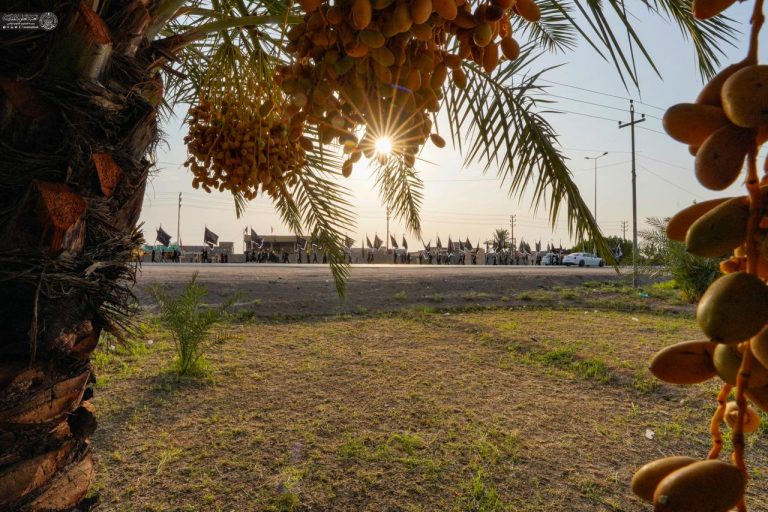 زائران اربعین حسینی در مسیر کربلا