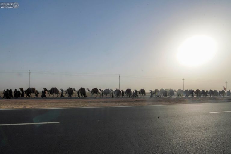 گام های عاشقانه