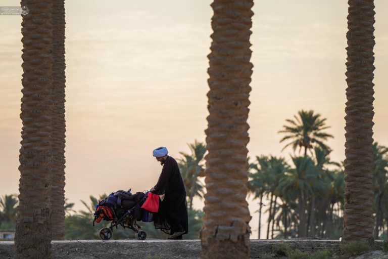 نخلستان‌های نجف