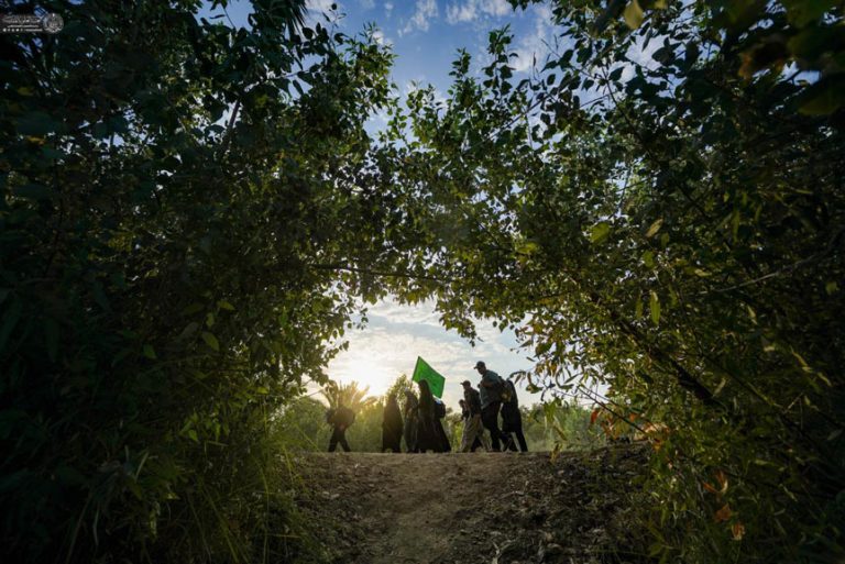 نخلستان‌های نجف