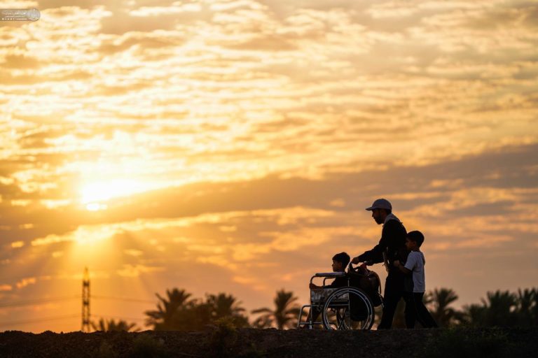 نخلستان‌های نجف