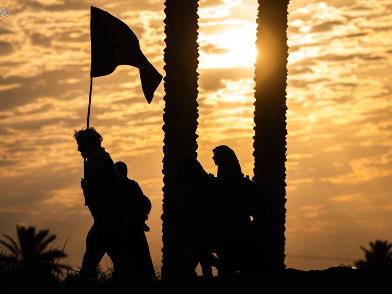 نخلستان‌های نجف