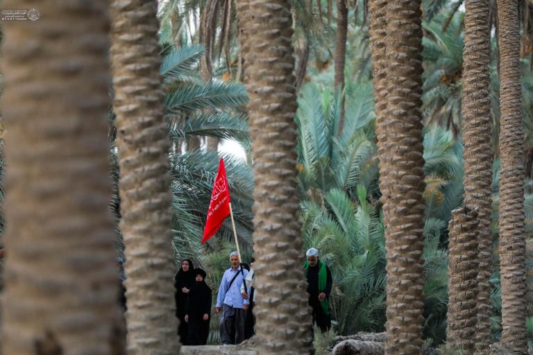 نخلستان‌های نجف