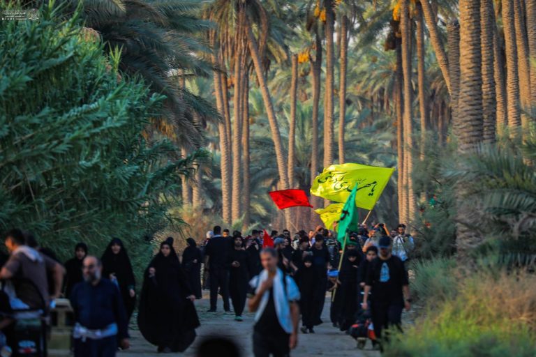 نخلستان‌های نجف