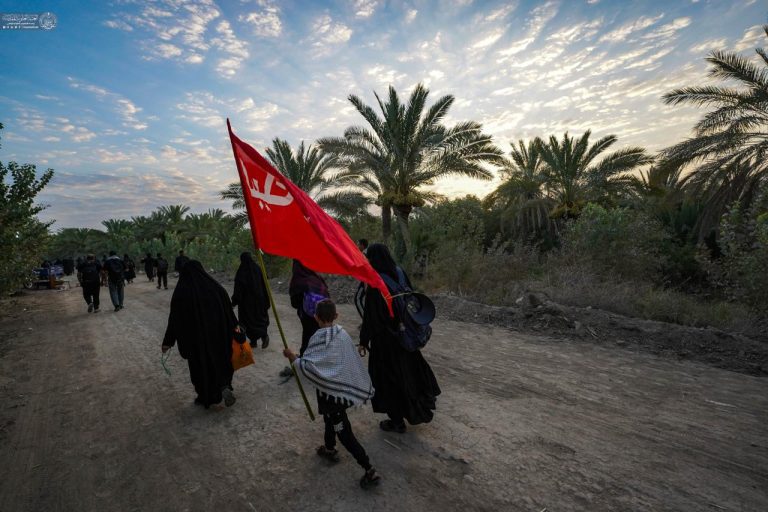 نخلستان‌های نجف