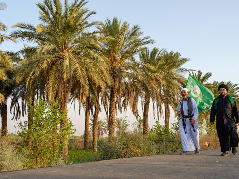 به سوی نینوا