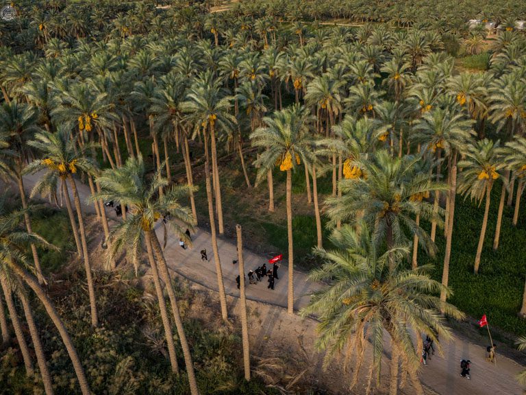 طریق العلما