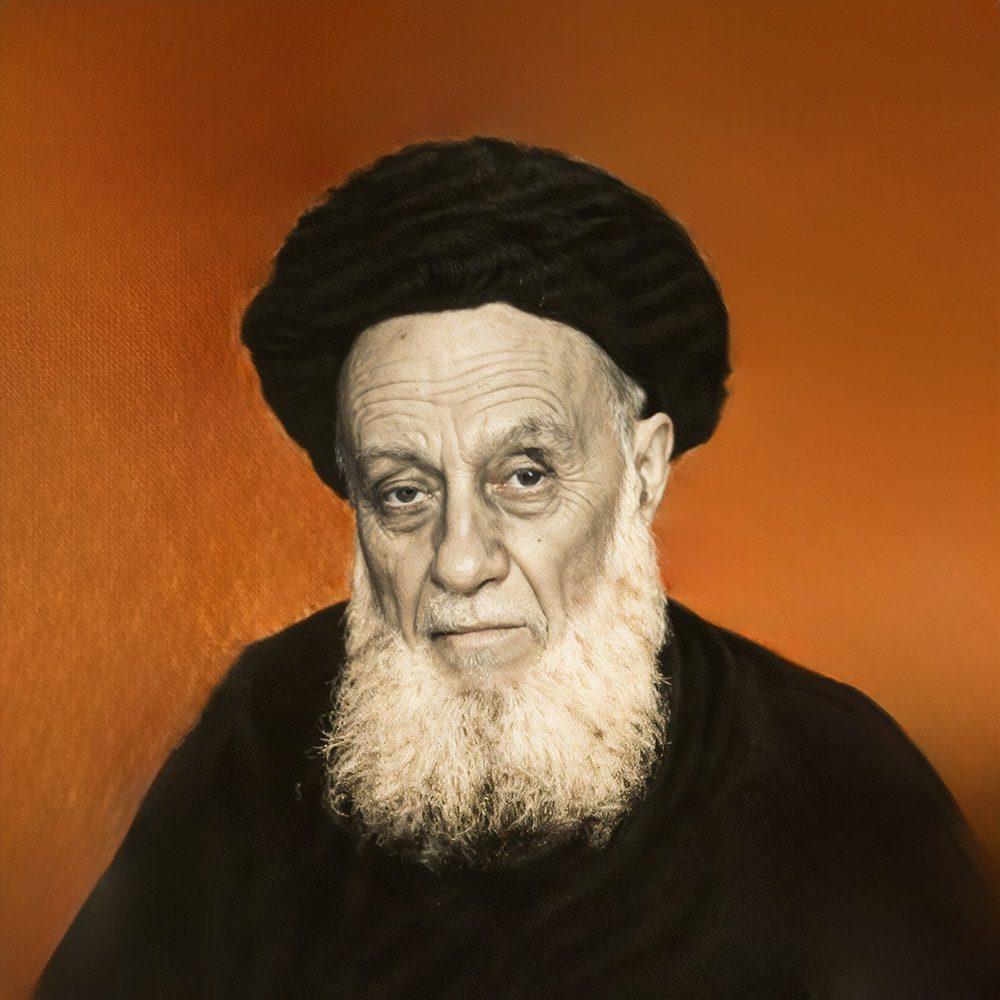 آیت‌الله سید محمدحسن فضل الله حسنی (قدس‌سره)