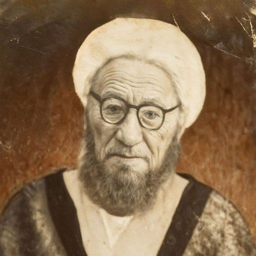 علامه حجه‌الاسلام شیخ حبیب عاملی (رضوان‌الله علیه)