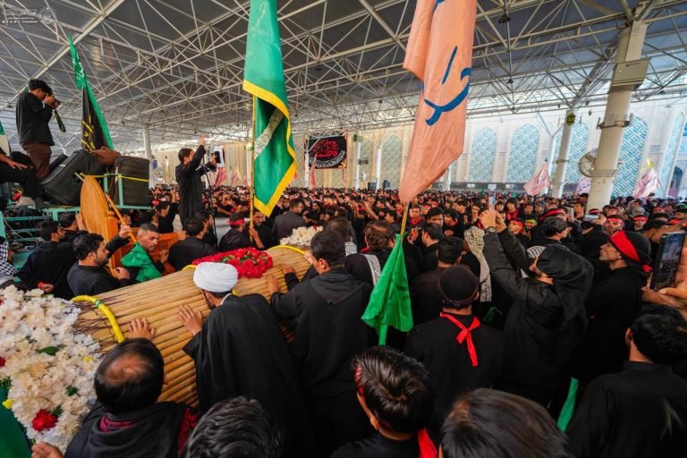 IMG_20251125_150422_979