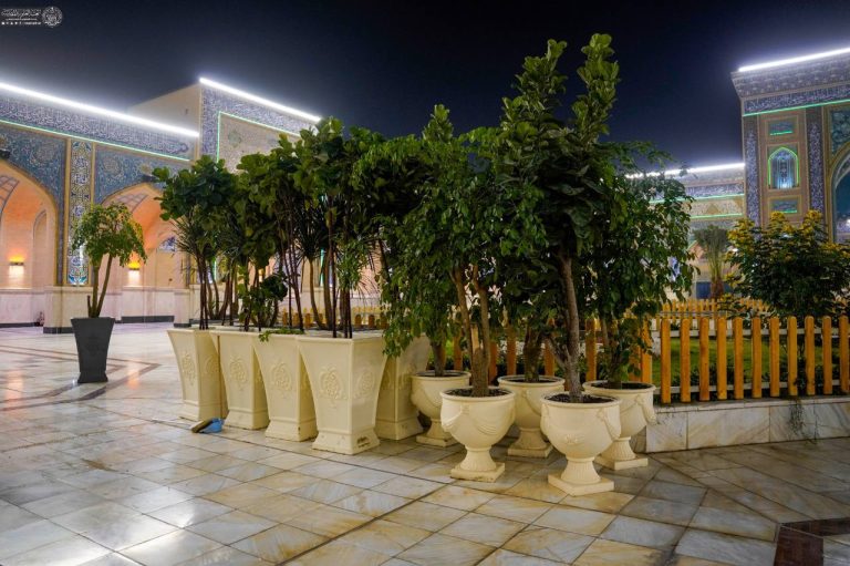 IMG_20251210_223054_556