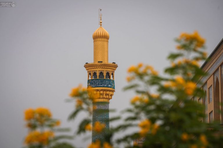 photo_10_2025-12-08_19-15-45