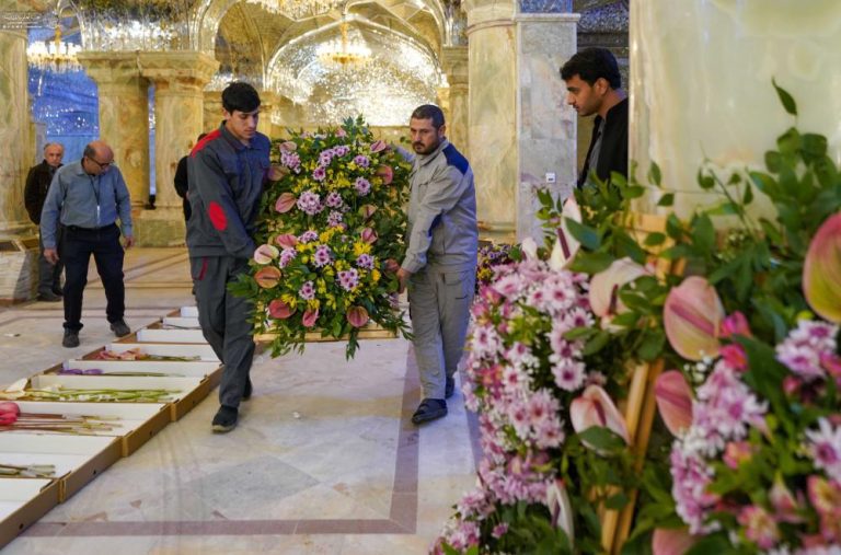 آمادهسازی یکمیلیون شاخه گل طبیعی برای تزیین حرم مطهر علوی 5