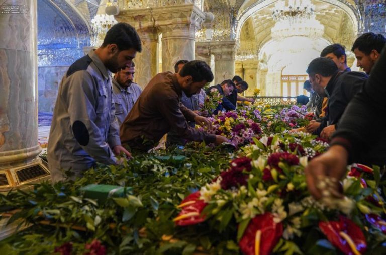 آمادهسازی یکمیلیون شاخه گل طبیعی برای تزیین حرم مطهر علوی 6