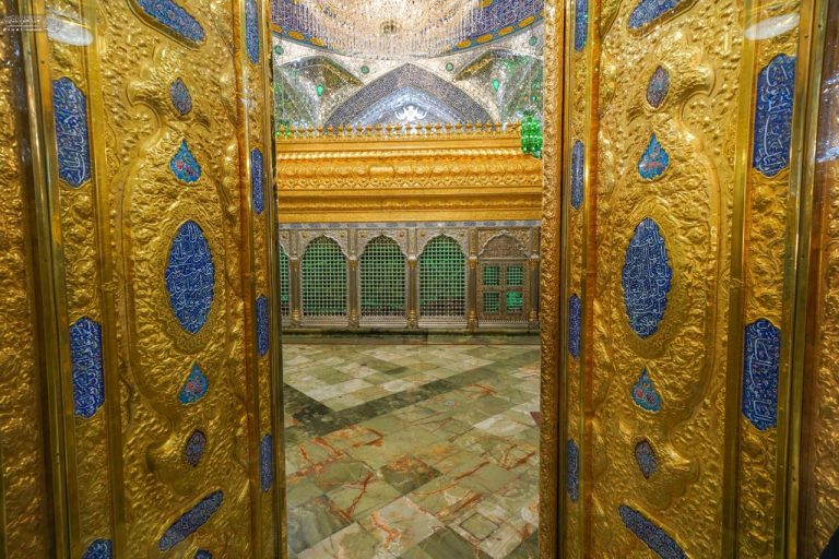 IMG_20260130_115511_944