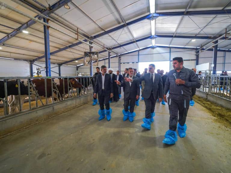 افتتاح نخستین طرح دامپروری