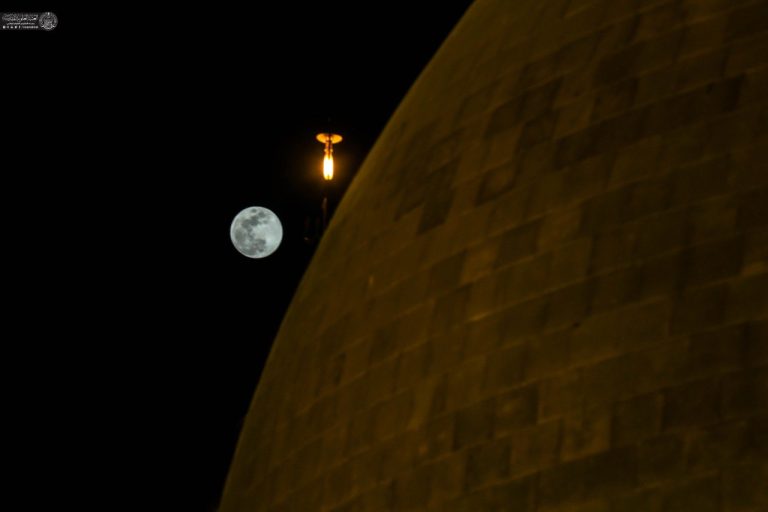 IMG_20260201_214917_051