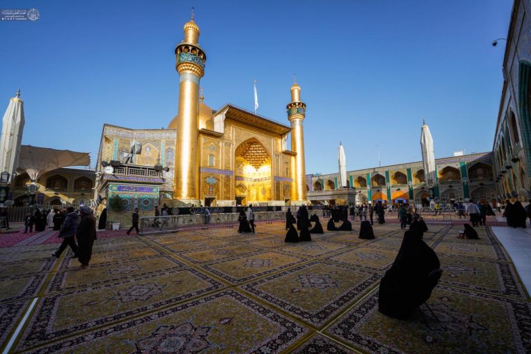 IMG_20260208_141302_071