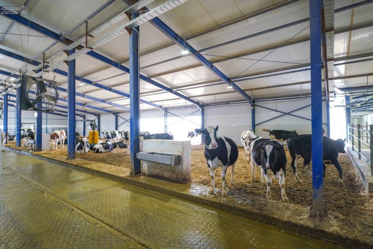 IMG_20260218_104438_431