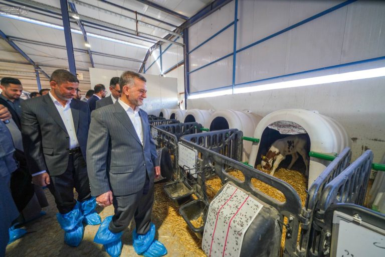 IMG_20260218_104438_619