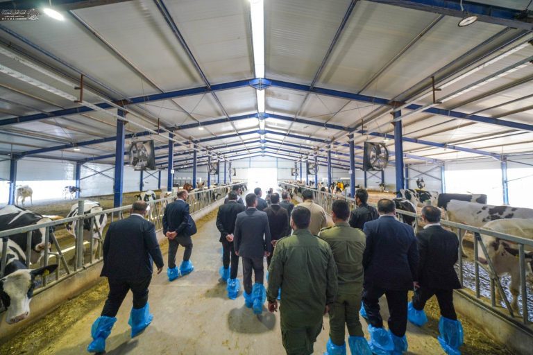 IMG_20260218_104438_878