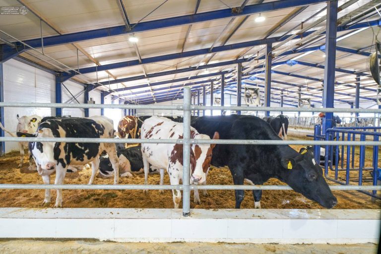 IMG_20260218_104438_880