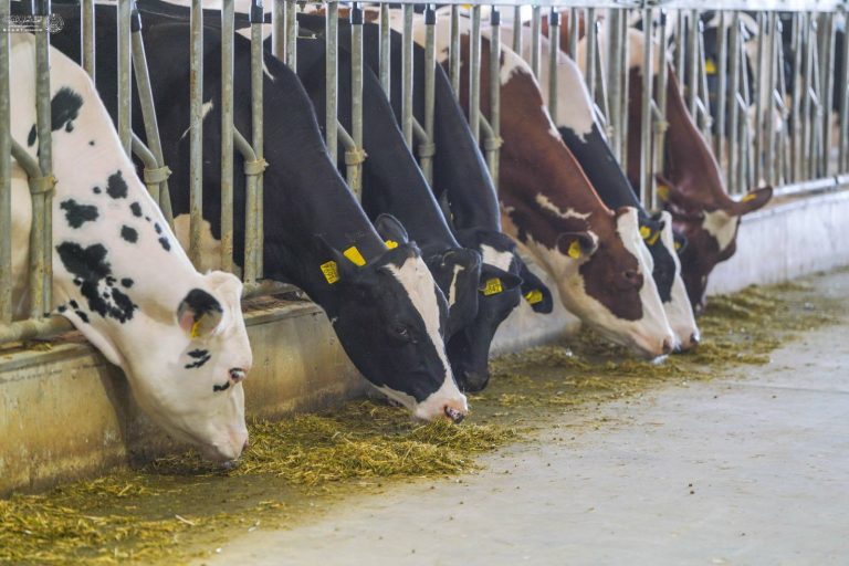 IMG_20260218_104439_006