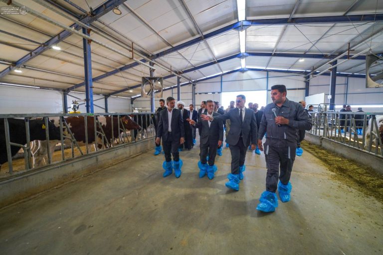 IMG_20260218_104439_145