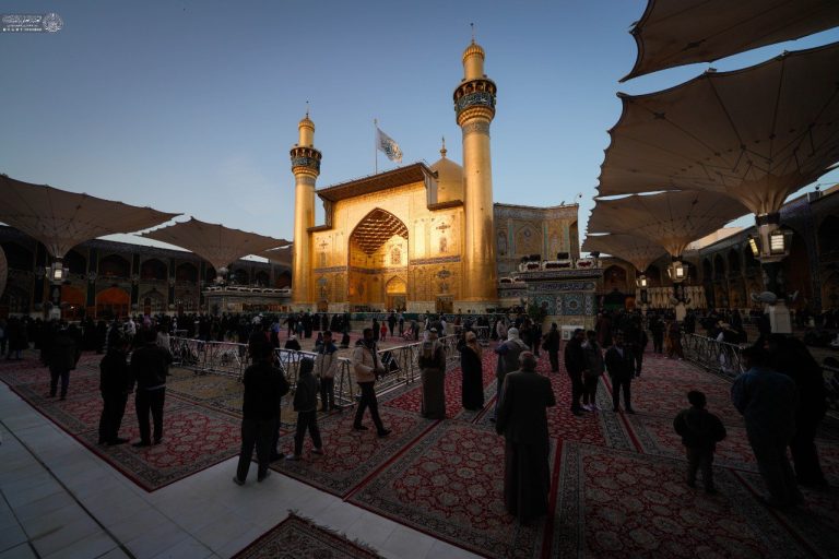 photo_3_2026-02-01_11-54-42