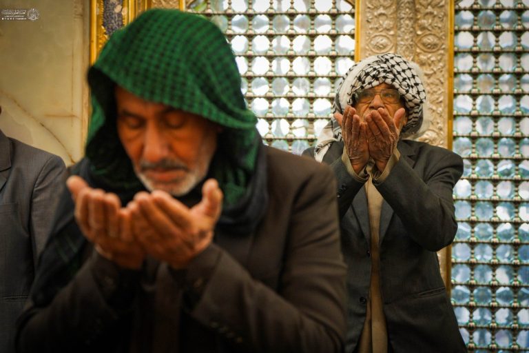 photo_6_2026-02-01_11-54-42