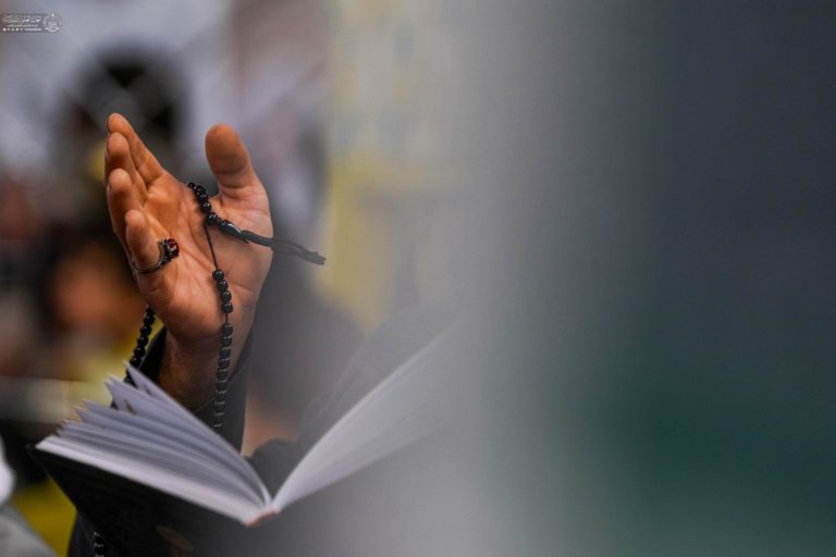 photo_7_2026-02-26_23-14-03