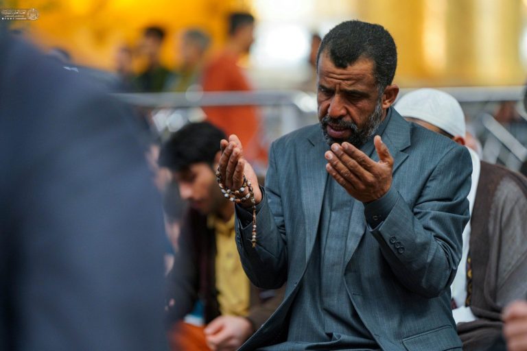 photo_8_2026-02-26_23-14-03